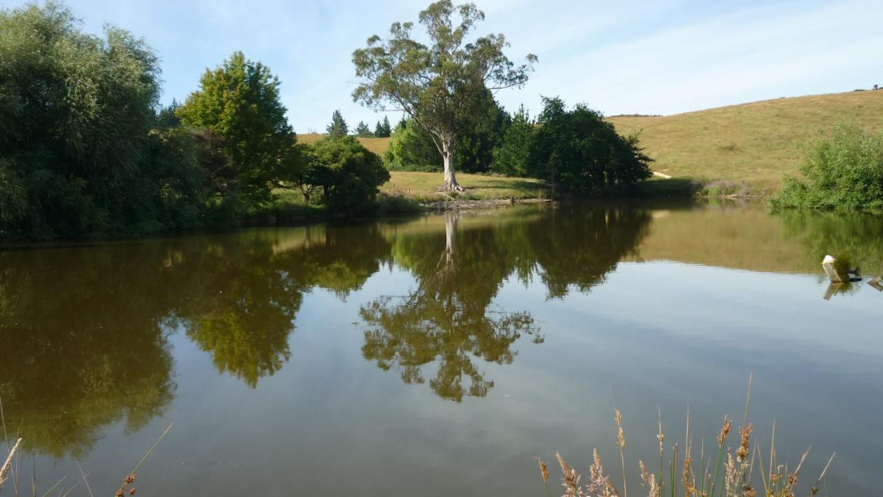 Tasman Farmstay Retreat Glenmhor Exterior foto