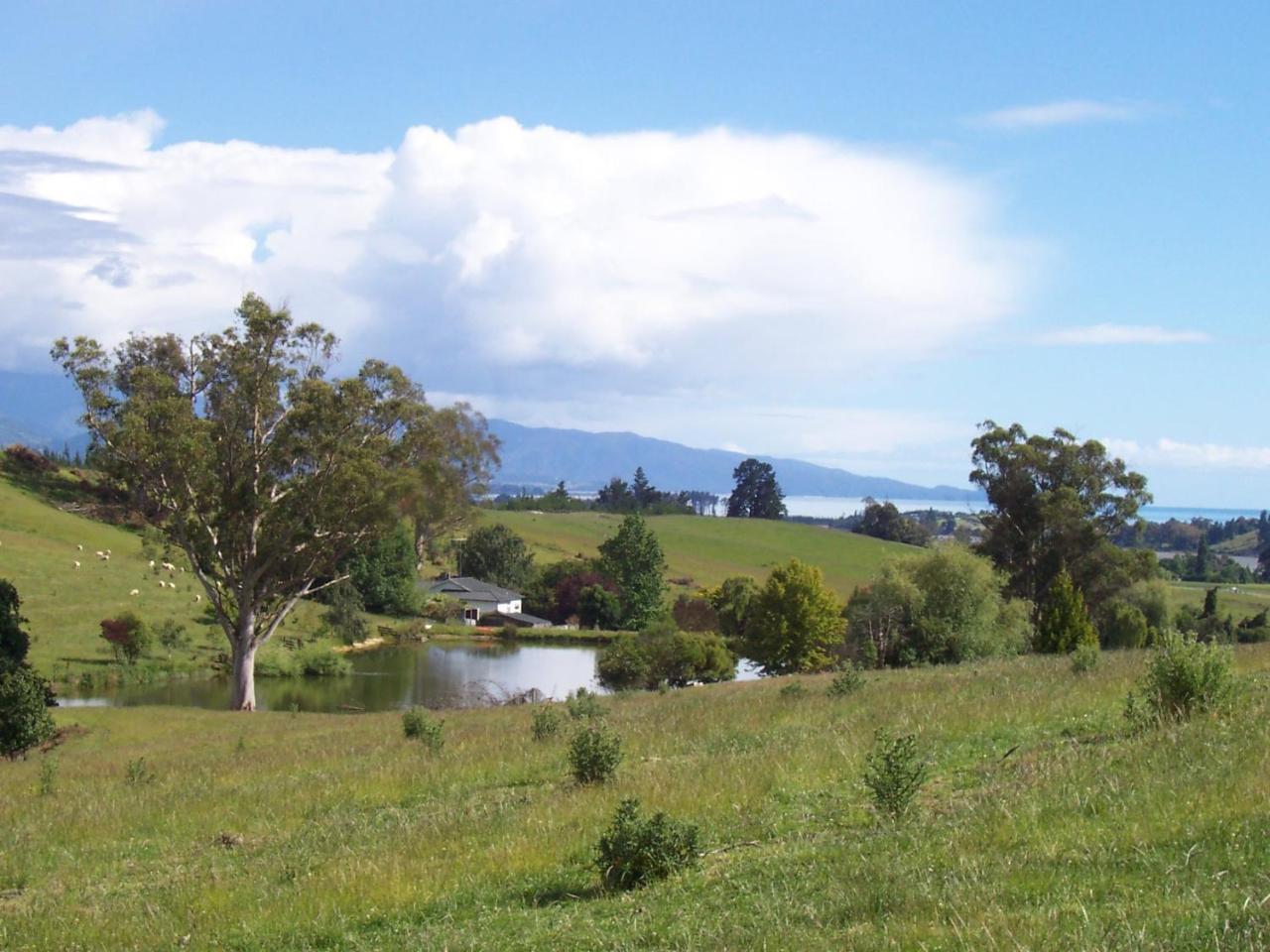 Tasman Farmstay Retreat Glenmhor Exterior foto