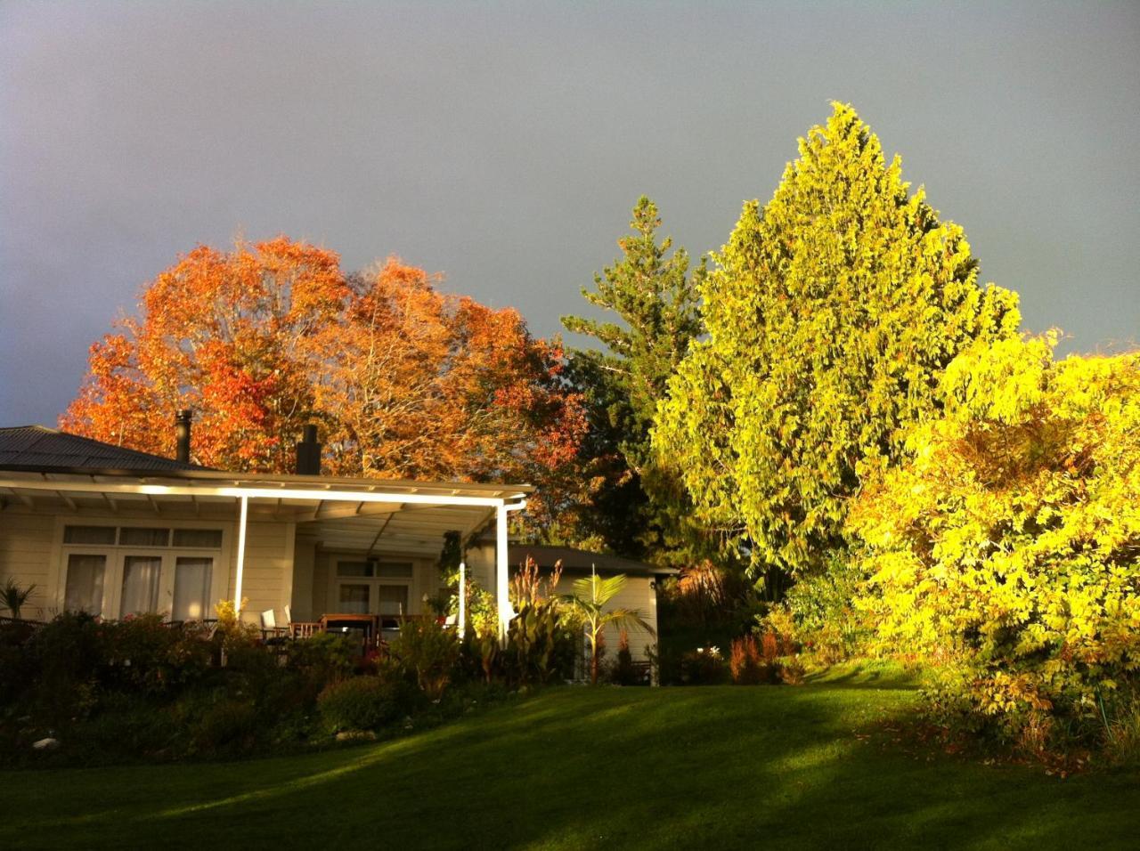 Tasman Farmstay Retreat Glenmhor Exterior foto