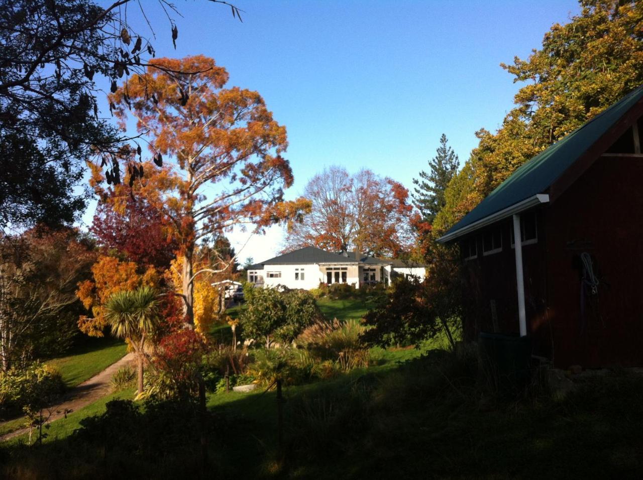 Tasman Farmstay Retreat Glenmhor Exterior foto